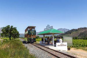 Franschhoek Wine Tram Hop-on Hop-off Tour—a unique blend of wine tasting, culture, and adventure, all wrapped into one unforgettable day trip from Cape Town.