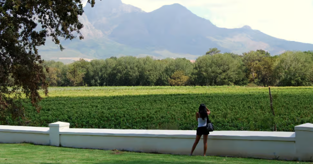 Winelands Tours in South Africa