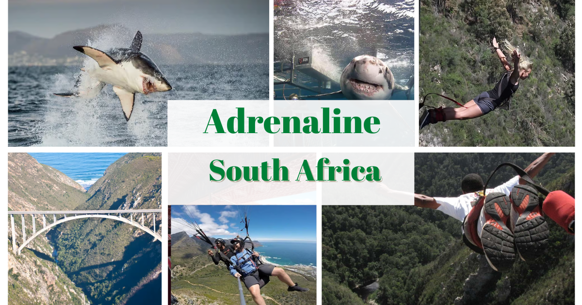 Adrenaline Tours in South Africa