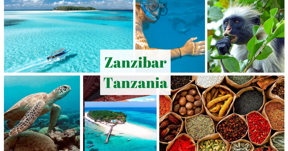 Zanzibar Holidays
