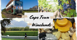 Journey Through Cape Town Winelands