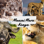 Maasai Mara: A Jewel of Kenya