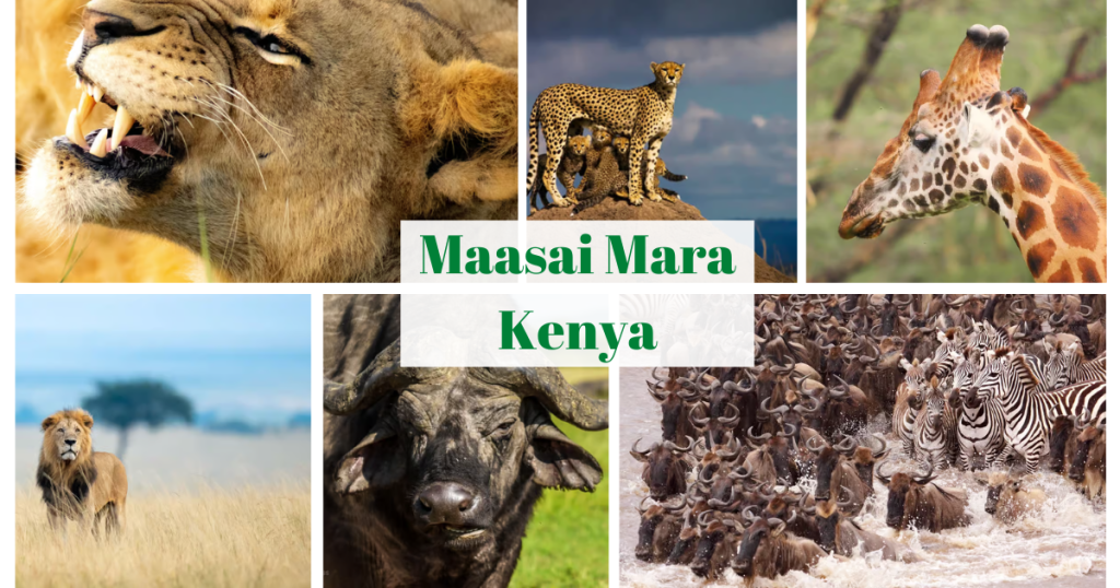 Nairobi - Maasai Mara