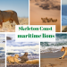 Skeleton Coast maritime lions
