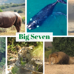 Addo Elephant National Park - South Africa’s Big 7 Reserve