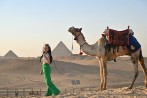 Egypt Cultural Tour with camel
