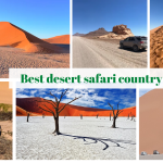 Explore Namibia’s Unrivaled Desert Adventures