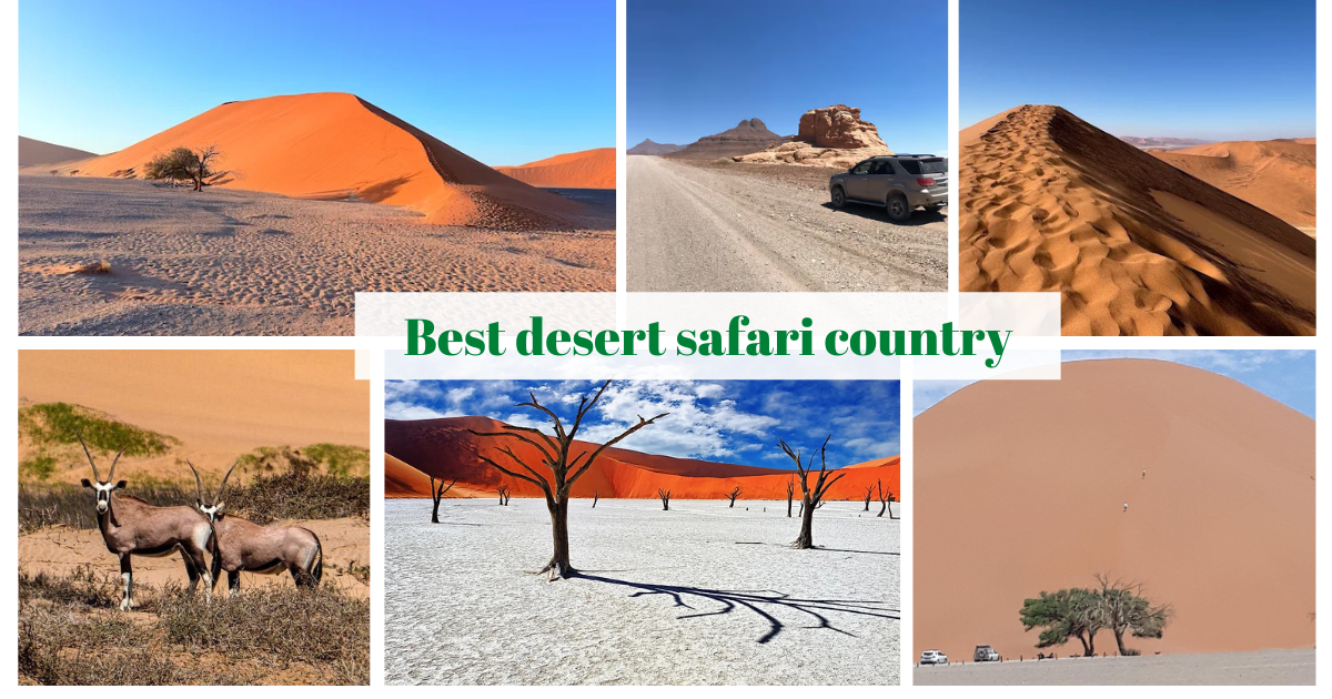 Explore Namibia’s Unrivaled Desert Adventures