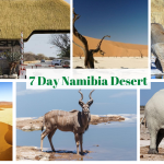 Namibia’s Wild Beauty in 7 Days
