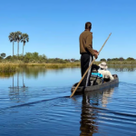 okavango delta