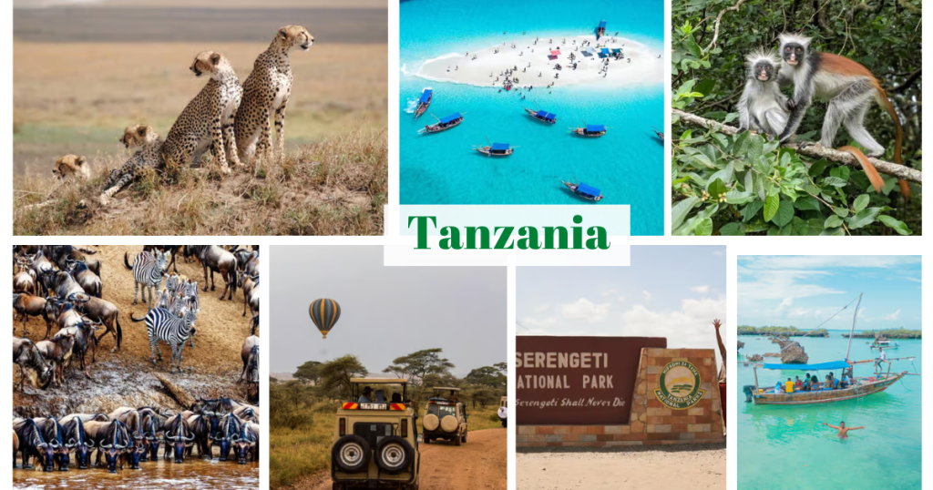 Tanzania: Safari Paradise and Exotic Islands