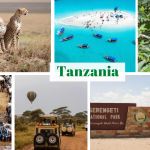 Tanzania: Safari Paradise and Exotic Islands