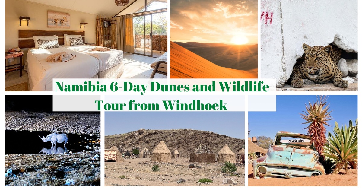6-day dunes and wildlife tour Namibia