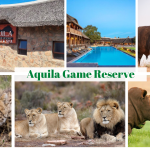 Cape Town safari - Aquila Game Reserve