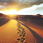 Namibia Travel Guide 2026: Flights, Safaris & Hotels - Marvanton