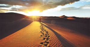 Namibia Travel Guide 2026