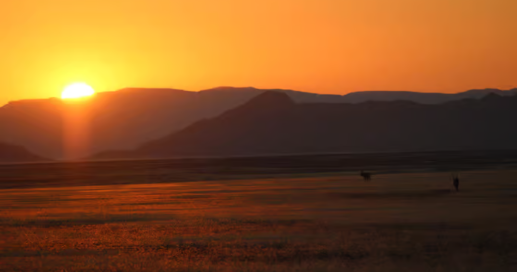 Namibia Travel Guide 2026: The Ultimate Safari, Desert & Adventure