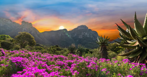 Kirstenbosch National Botanical Garden - South Africa Travel Guide: - Marvanton24