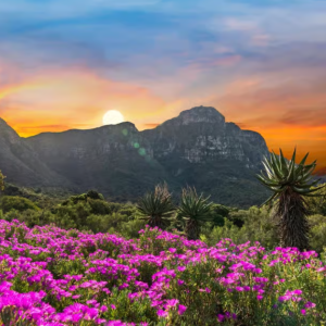 Discover Africa in 2026