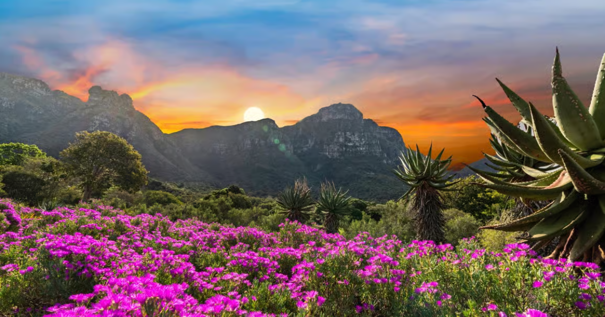 Kirstenbosch National Botanical Garden - South Africa Travel Guide: - Marvanton24