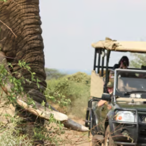Discover Africa in 2026