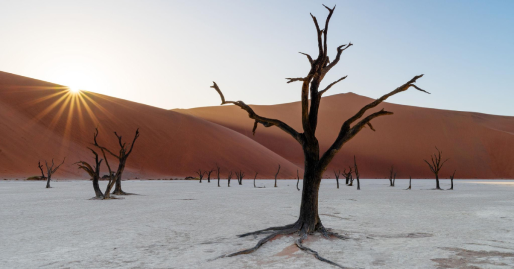 Explore Namibia Explore Namibia